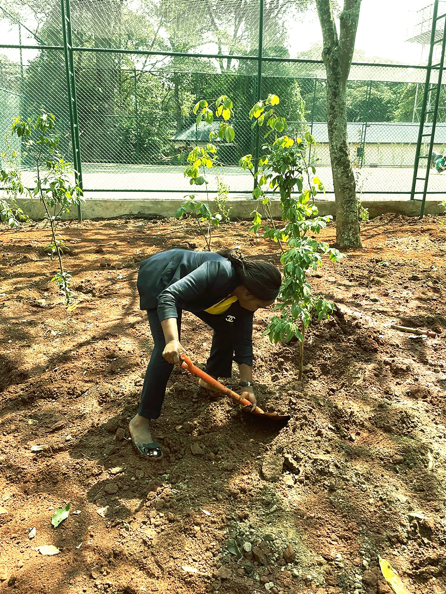 A volunteer digging soil to plant a young tree