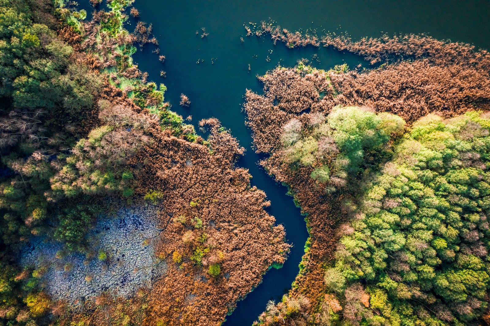 Aerial view of a river winding through forest